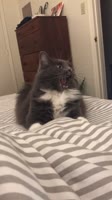 406x720