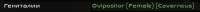 406x25