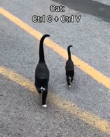 768x960