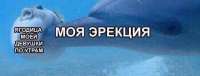 1129x434