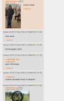 724x1142