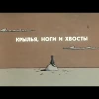 320x320