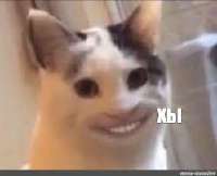 249x202