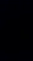252x460