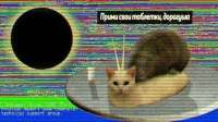 600x337