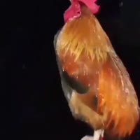 360x360