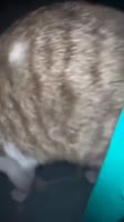 540x960
