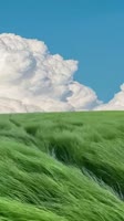 480x854