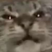237x237