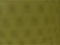 480x360