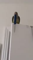 360x642