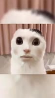 360x640