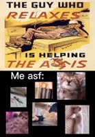 592x848