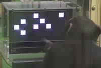 352x240