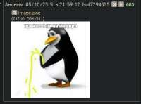 449x334
