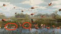 1898x1080