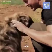 360x360