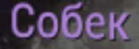 447x160