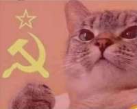 449x357
