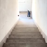 720x720