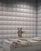 460x574