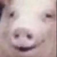 300x300