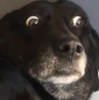 320x322