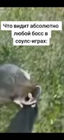 444x960