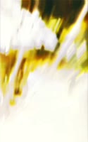 576x920