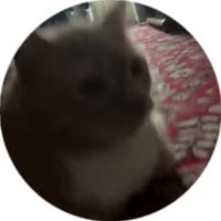 360x360