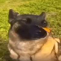360x360