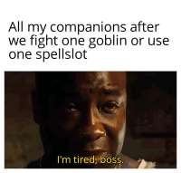 800x764