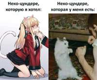 1080x901