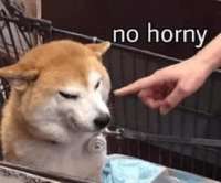 384x320