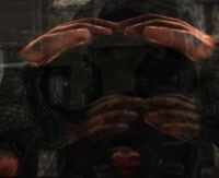 390x318