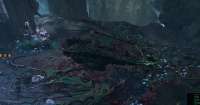 1213x642