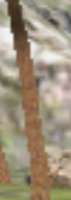 250x704