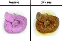 600x400