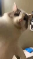 360x640