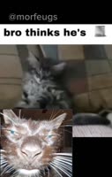 458x720