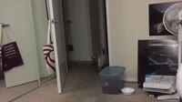 460x258