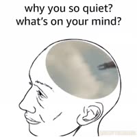 720x720