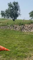 302x538