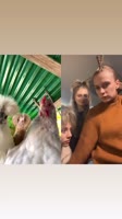 720x1280