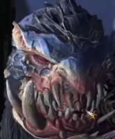 340x409
