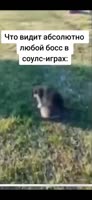 444x960