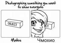600x427