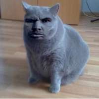 900x900