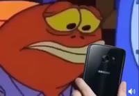 480x332