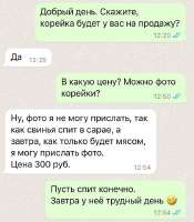 595x679